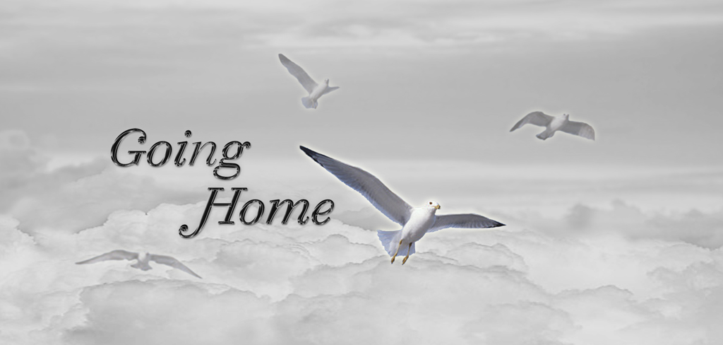 Going Home (White Black) PROOF